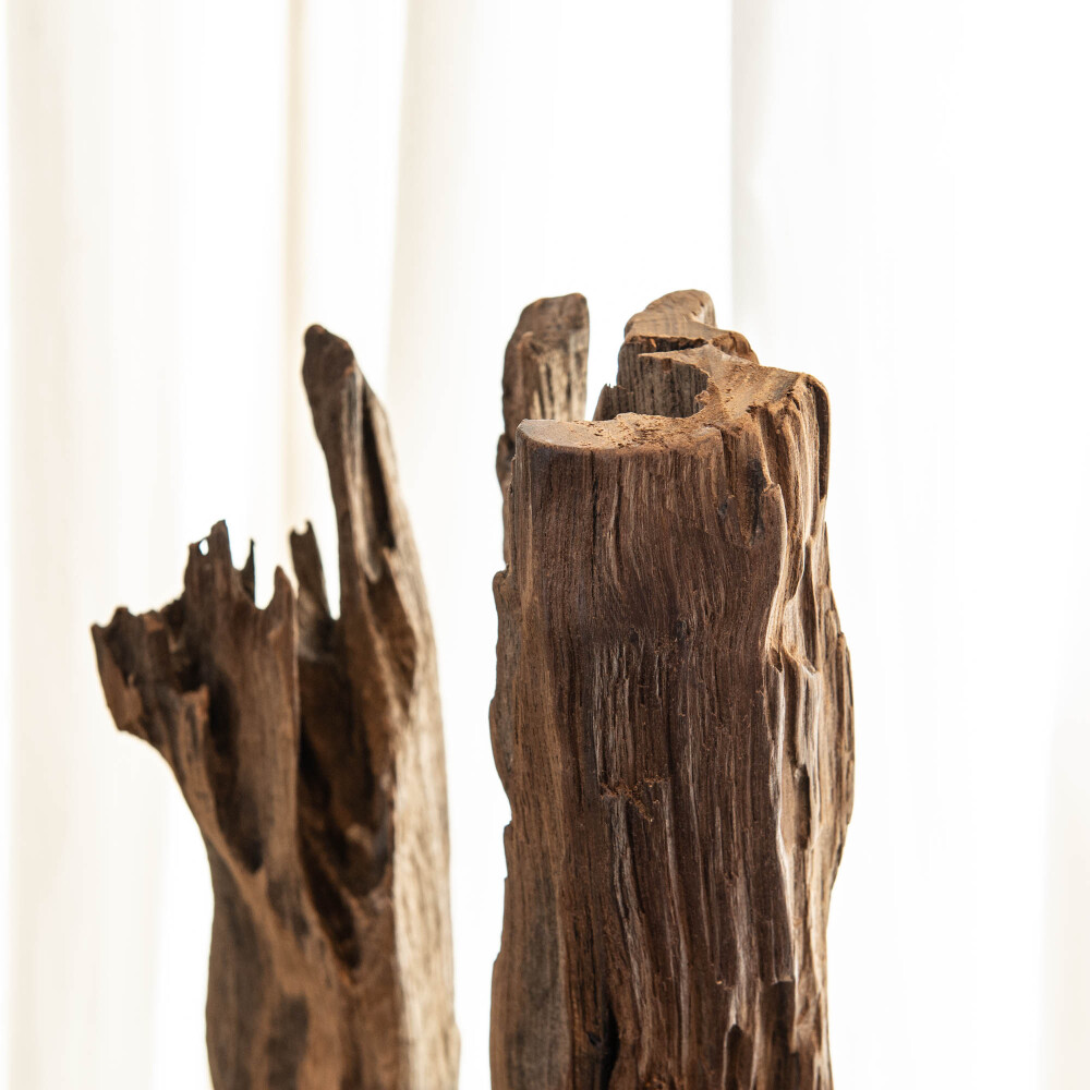 Escultura raiz de teka, l Escultura raiz de teka, l