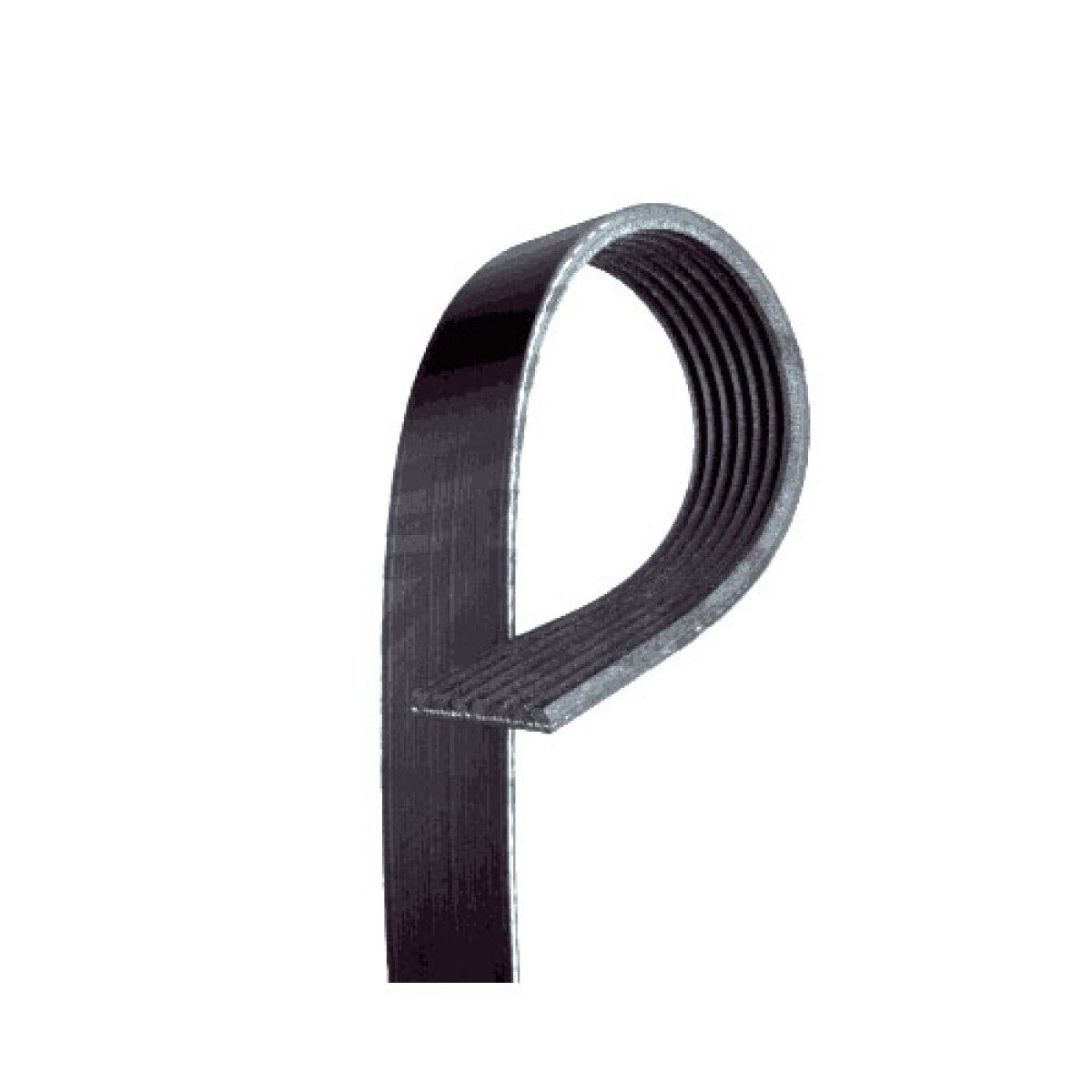 CORREA ALTERNADOR RENAULT DUSTER OROCH SANDERO 1.6 H4M 21/ ELASTICA GATES 