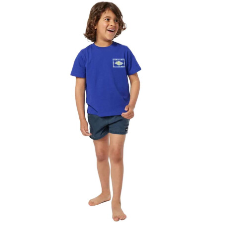 Remera MC Rip Curl Tube Town Logo Azul