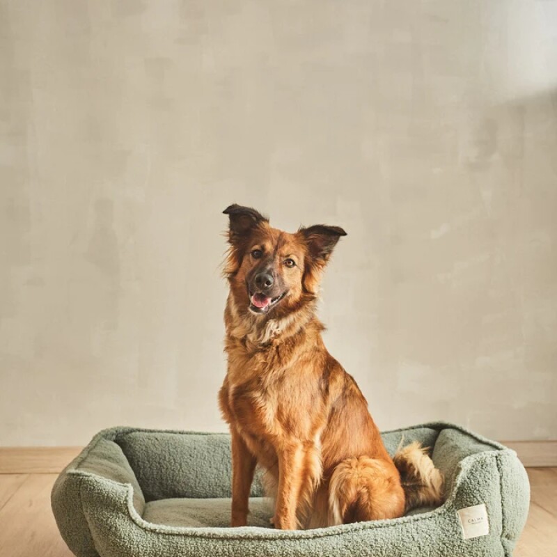 Cama para Mascotas verde