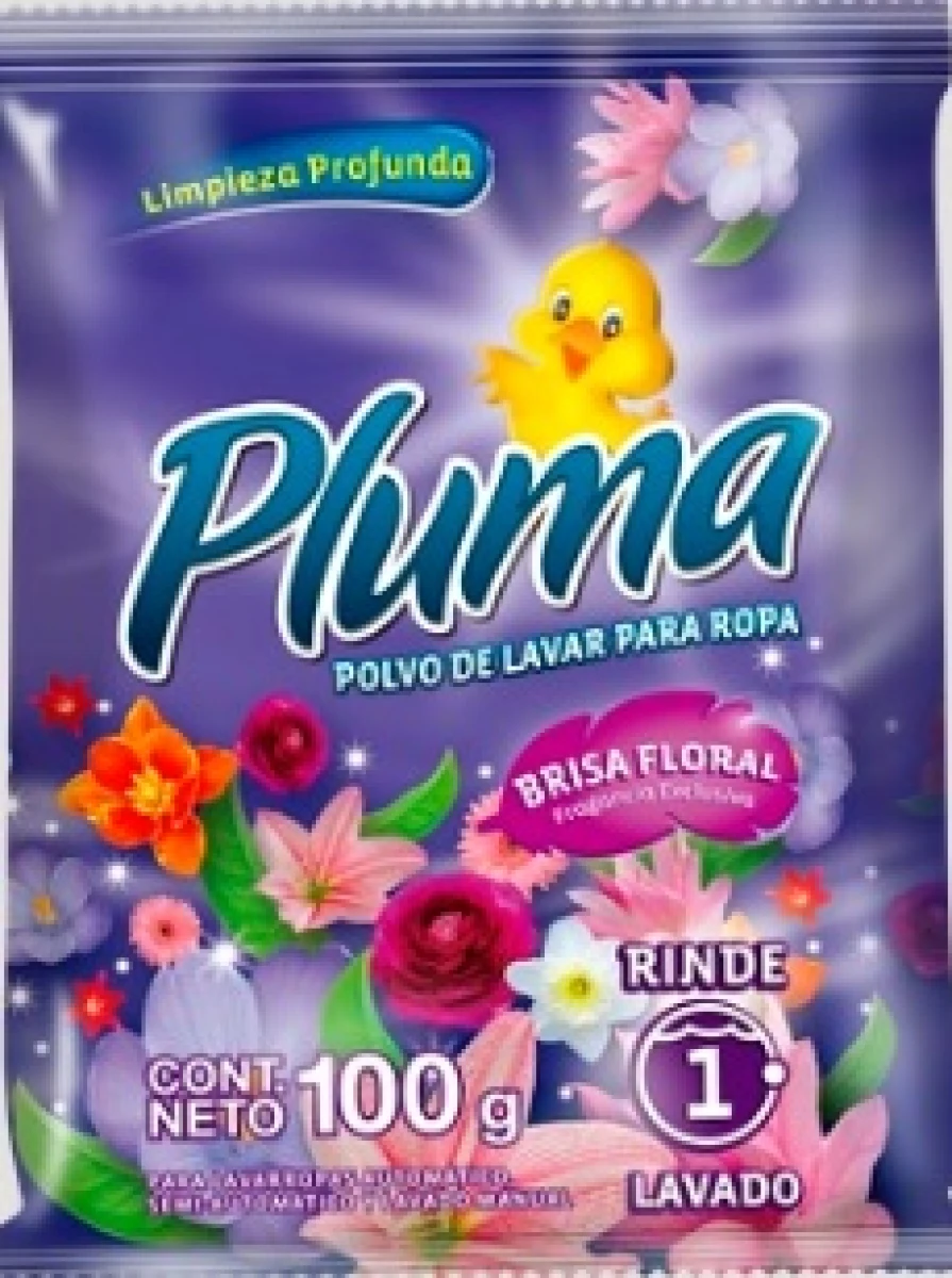 DETERGENTE EN POLVO PLUMA 100 GR 