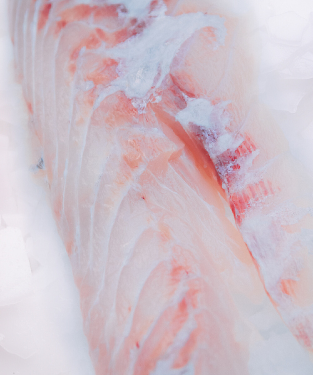 Filete de Corvina - 500g 