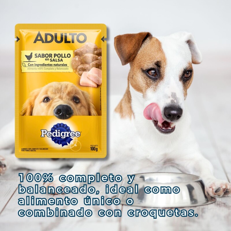 PEDIGREE EN SALSA ADULTO POLLO 100 GRAMOS PEDIGREE EN SALSA ADULTO POLLO 100 GRAMOS