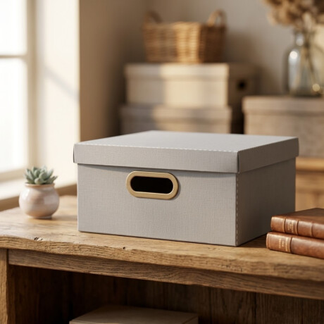 Caja organizadora Lino M 29cm x29cm x15cm GRIS