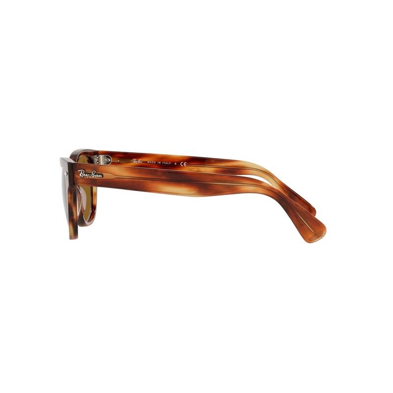 Ray Ban Rb2201 Laramie 954/33