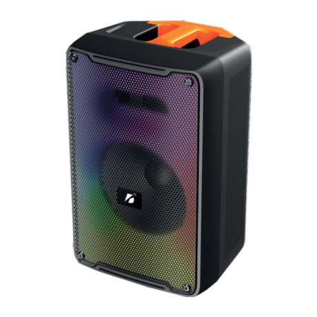 Parlante Portátil AEK S-10819 8'' Karaoke BT USB Micro Luces Negro