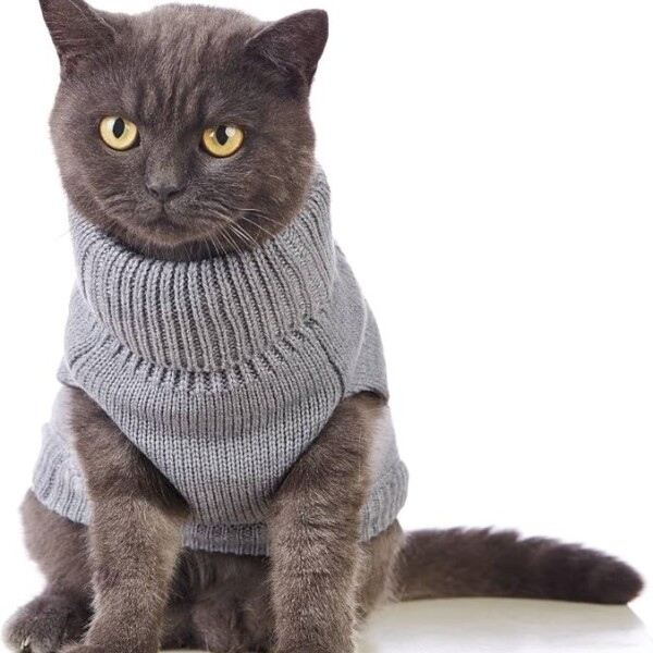 Sweater Para Gato Tejido Sweater Para Gato Tejido