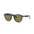 Ray-Ban Black on Gold Havana