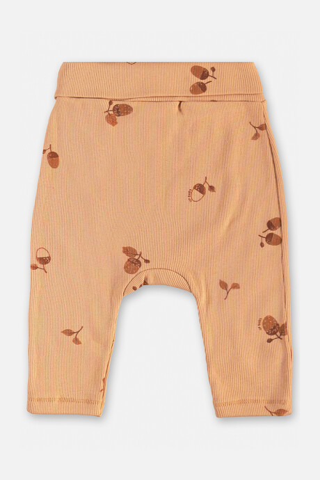 Set 2Pcs Bebé Autumn Variante 3