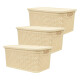Set x3 Caja simil ratán BEIGE
