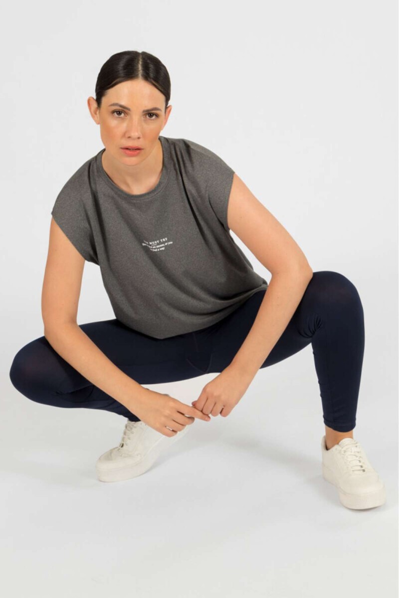Remera rio - Gris melange 