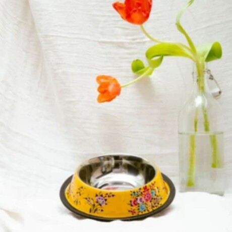 PLATO PARA GATO FRIDA Amarillo