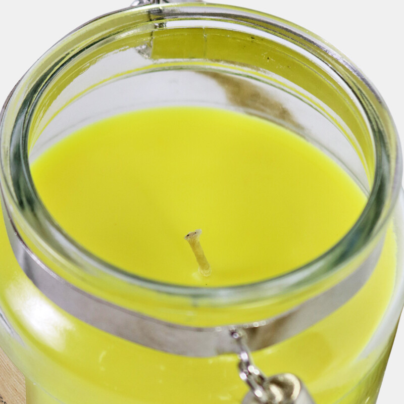 VELA CITRONELA EN POTE DE VIDRIO COLG Unica