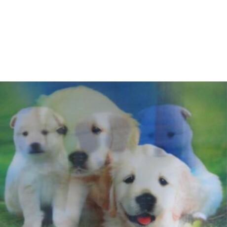 LAMINAS 3D 25X35 (CHICA) C/U LAMINAS 3D 25X35 (CHICA) C/U