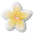 Jibbitz Beach Flower Multicolor