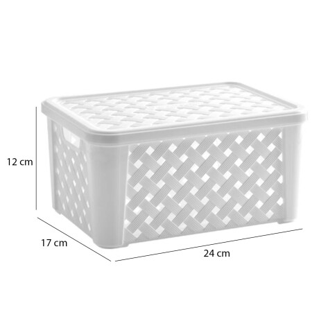 Caja Canasto Organizador Rattan c/ Tapa Paramount 24x17x12Cm Blanco