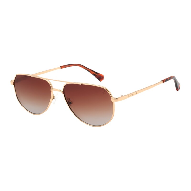 Lentes de Sol Chilli Beans Nilo Unisex Dorado - Marrón