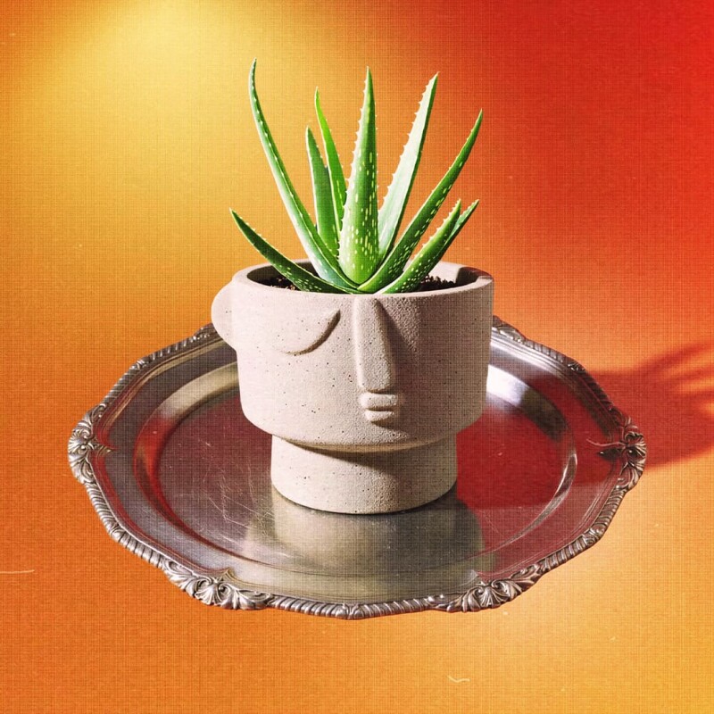 Maceta de cerámica Pórtico Maceta de cerámica Pórtico