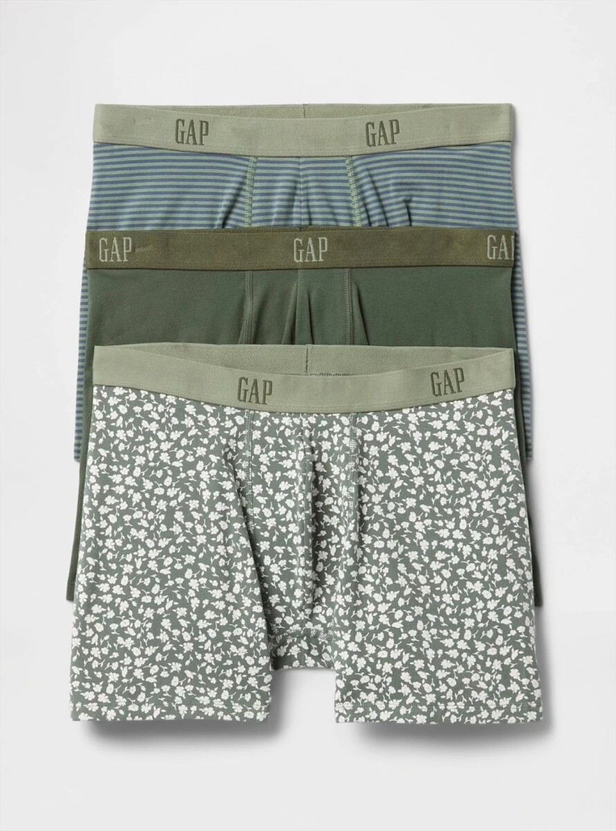Boxer Pack X3 Hombre - Thyme 19-0309 Tcx 