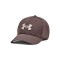 Gorro Under Armour Blitzing Taupe