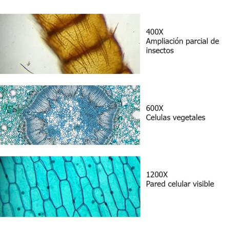 Set Microscopio Completo 1200x C/Valija Infantil Niño Esc003001