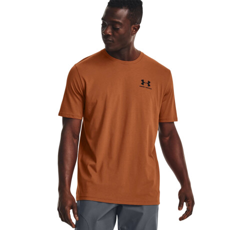REMERA UNDER ARMOUR SPORTSTYLE LC SS Brown