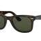 Ray Ban Wayfarer Carey G15