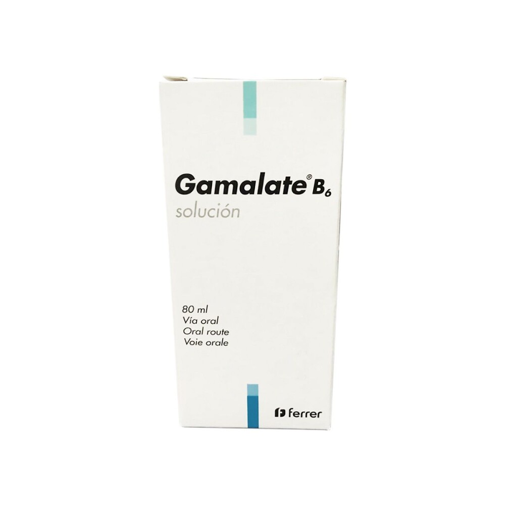 GAMALATE B6 JARABE FRASCO X 80 ML. única