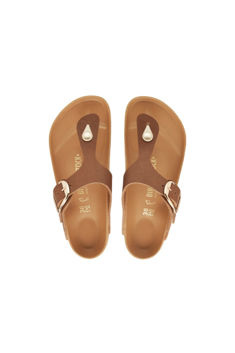 Sandalia Gizeh Big Buckle Oiled Nubuck Leather - Regular Cognac