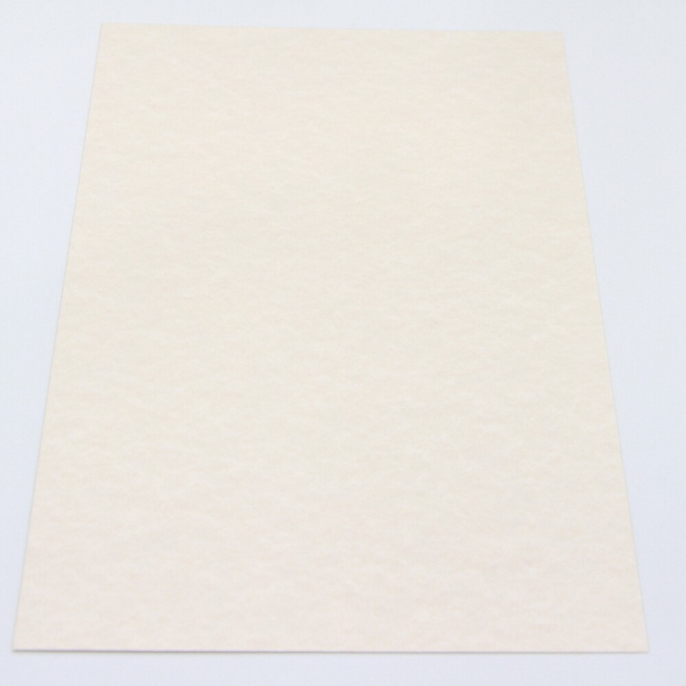 CARTULINA A4 TELADA 200 GRS COLOR LAGUNA Nº4