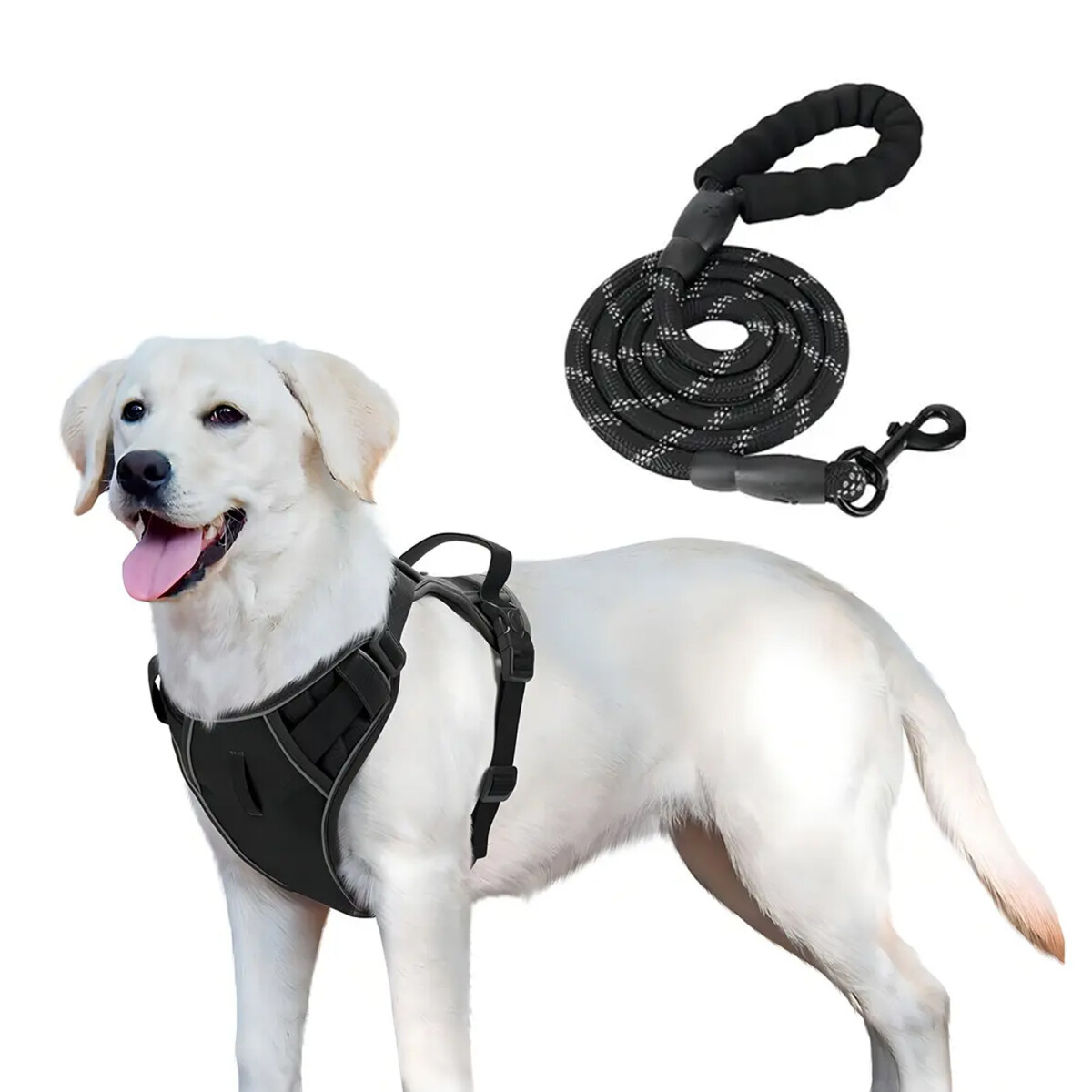 Arnés y Correa Para Perro Reflectivo Ajustable Reforzado - Negro 