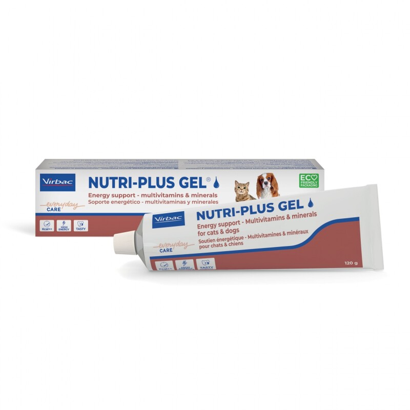 NUTRI PLUS GEL SUPLEMENTO ENERGETICO PERROS Y GATOS 120.5 GR NUTRI PLUS GEL SUPLEMENTO ENERGETICO PERROS Y GATOS 120.5 GR