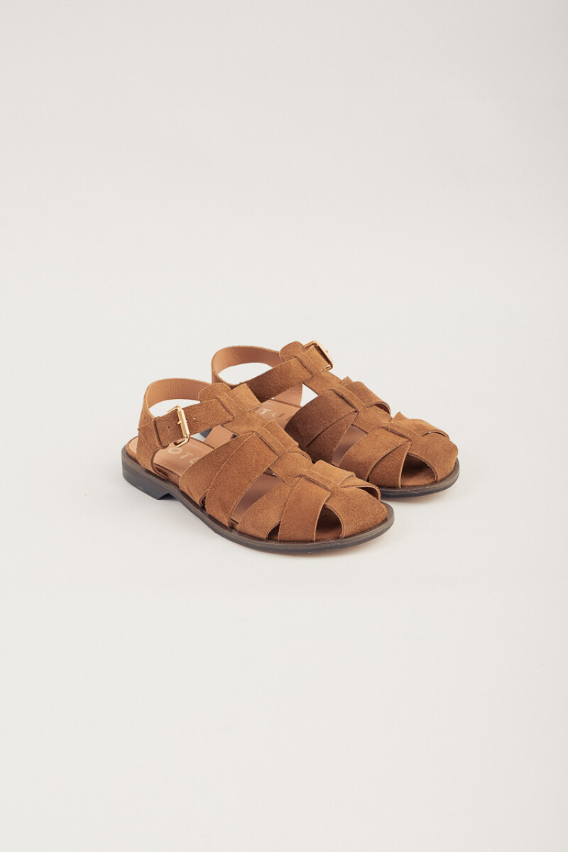 Ruma Camel