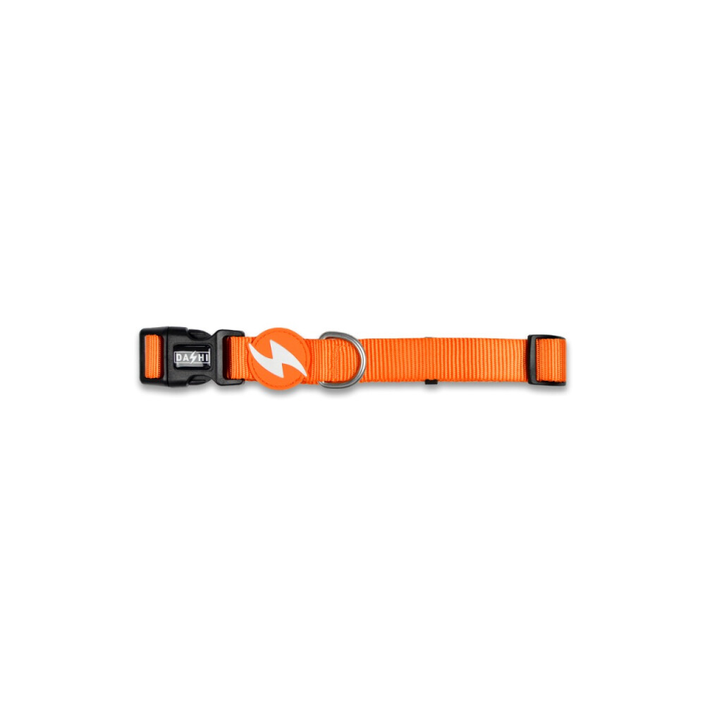 DASHI SOLID ORANGE COLLAR SMALL DASHI SOLID ORANGE COLLAR SMALL