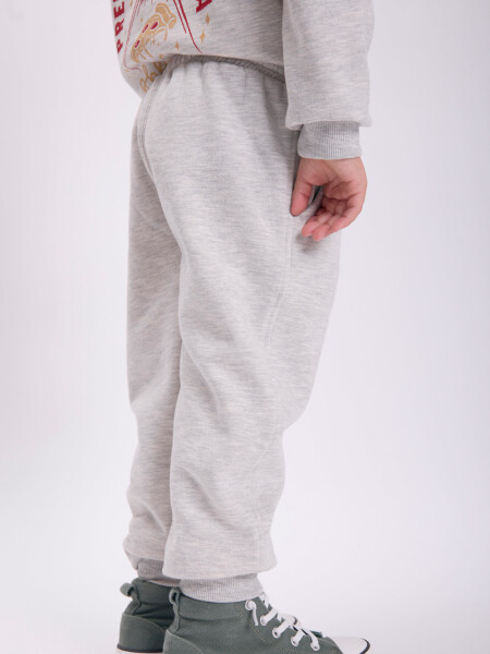 Pantalón deportivo jogger Gris Claro