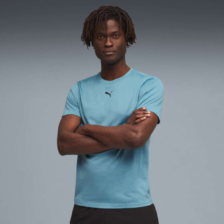 Remera Tad Essentials Heather Cat Tee de Hombre Celeste