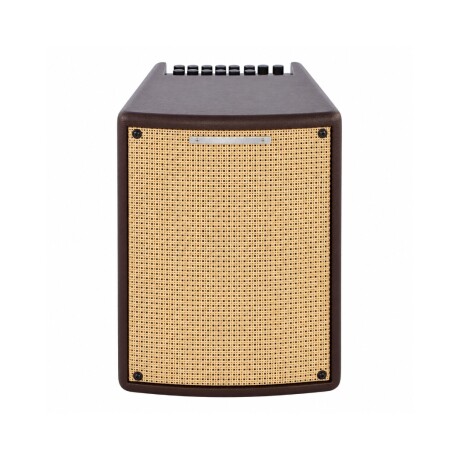 Amplificador Acustica Ibanez T80iiu Troubadour 8" 80w Amplificador Acustica Ibanez T80iiu Troubadour 8" 80w
