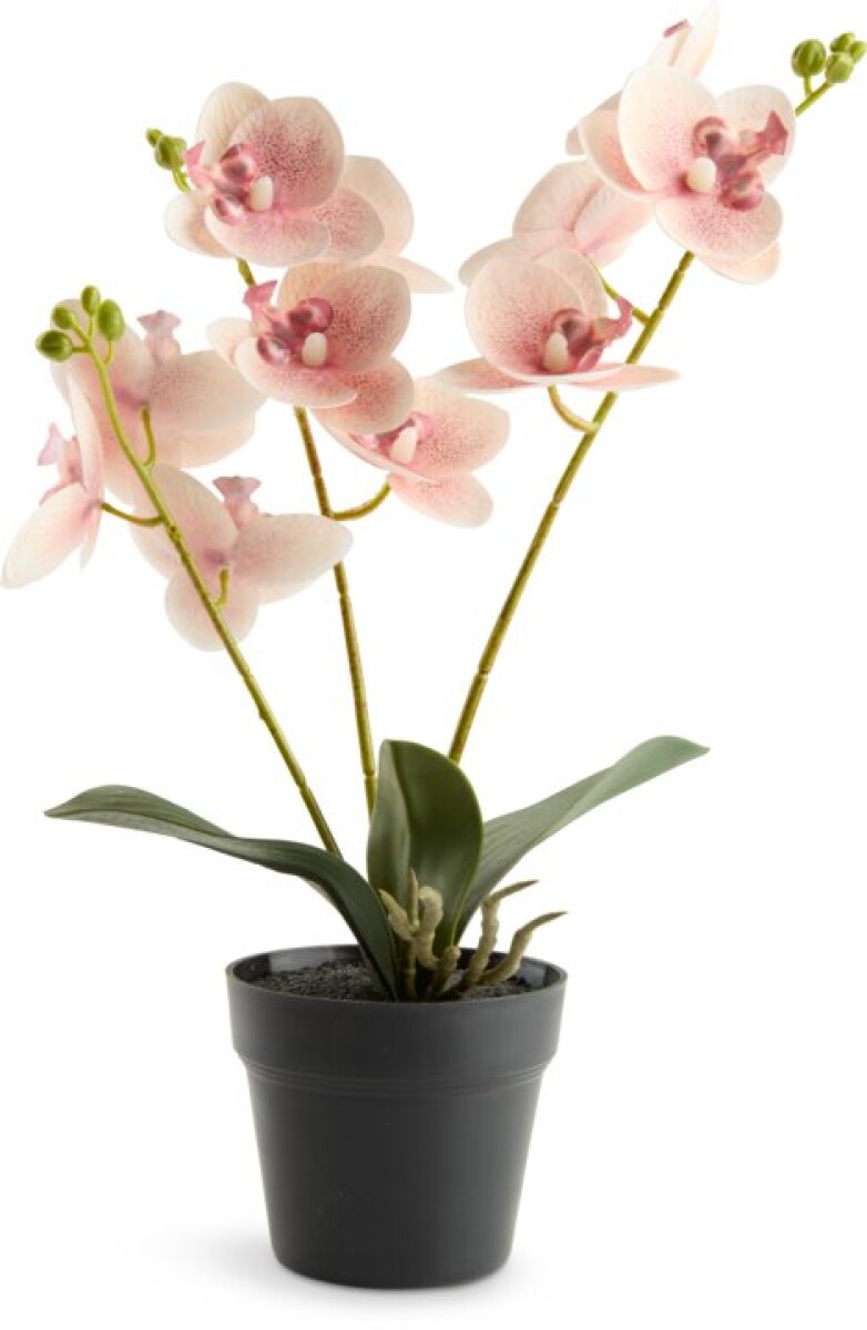 Planta artificial GUDJON H35 cm orquídea 