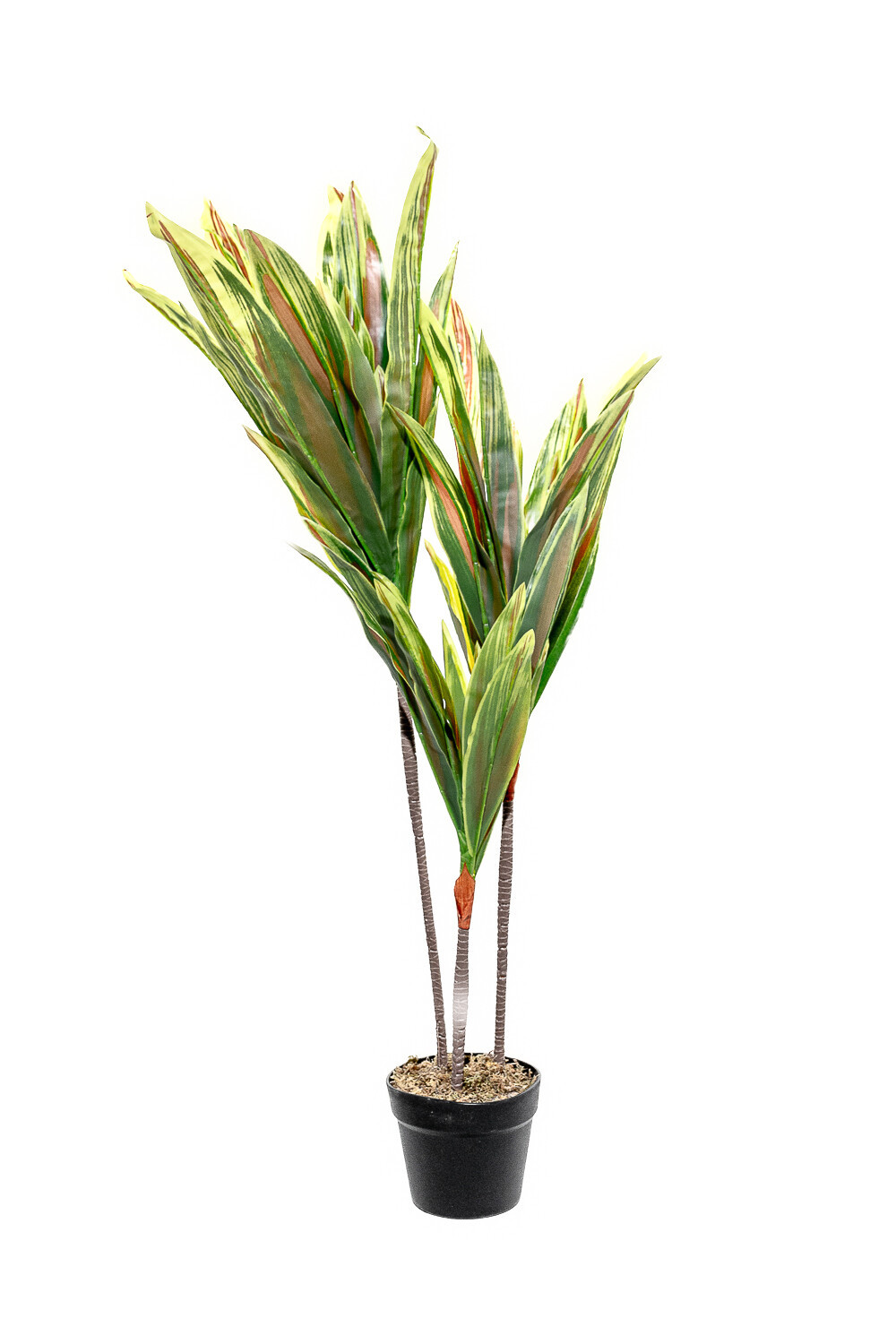 Planta Dracaena 100cm Color Unico