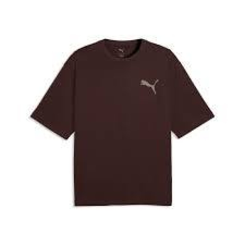 Remera Puma Graphics Boxy Utility Tee Hombre 694360 33 Chocolate