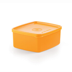 PRACTIFREEZEE TUPPERWARE 500ML PAPAYA