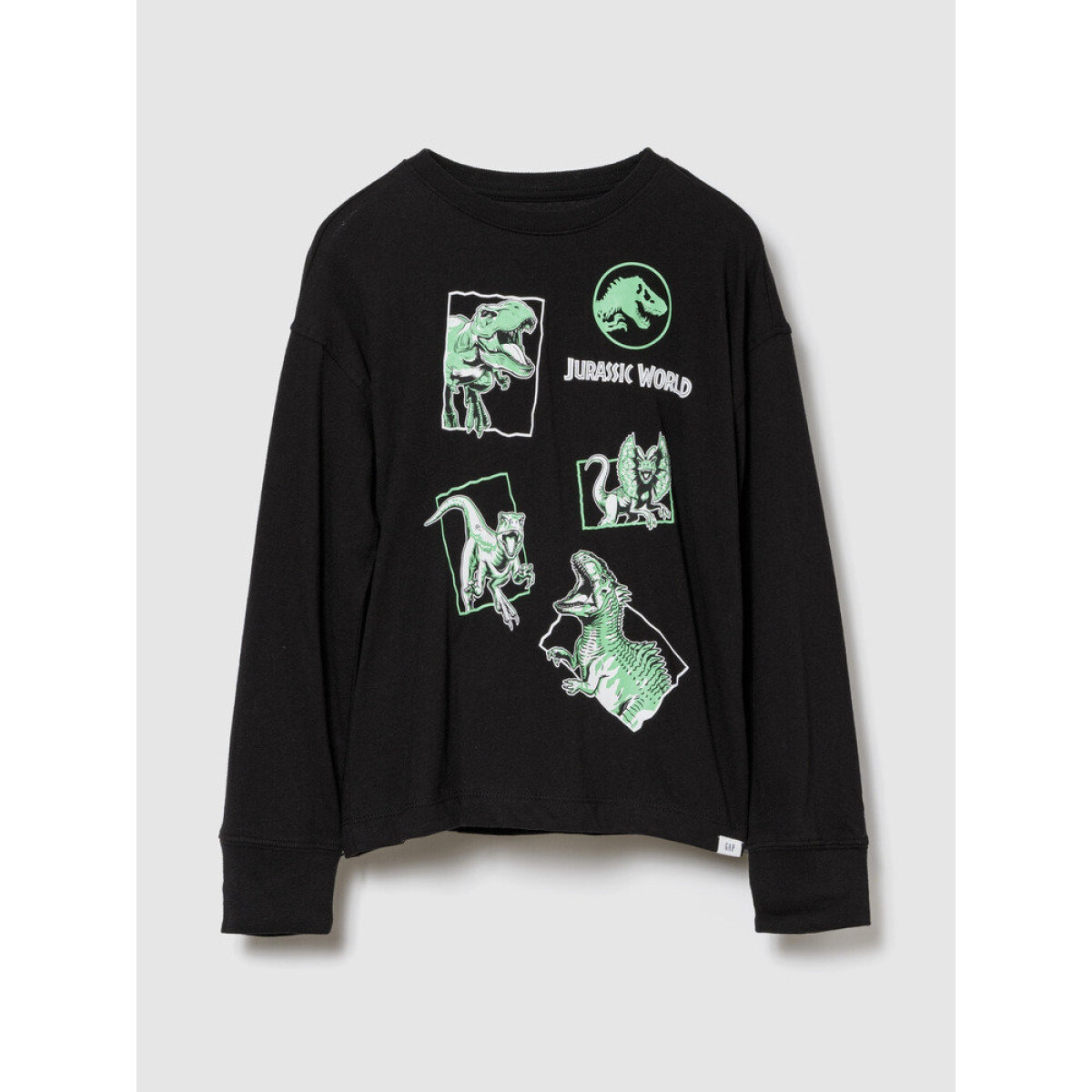 V-JPN 3PL JURASSIC GR LS TEE - BLACK 1 