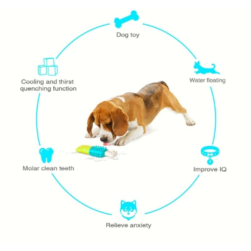 Juguete Dental Huesito Para Perros - Refrescante Juguete Dental Huesito Para Perros - Refrescante