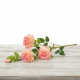 Rama de Rosas Rosada