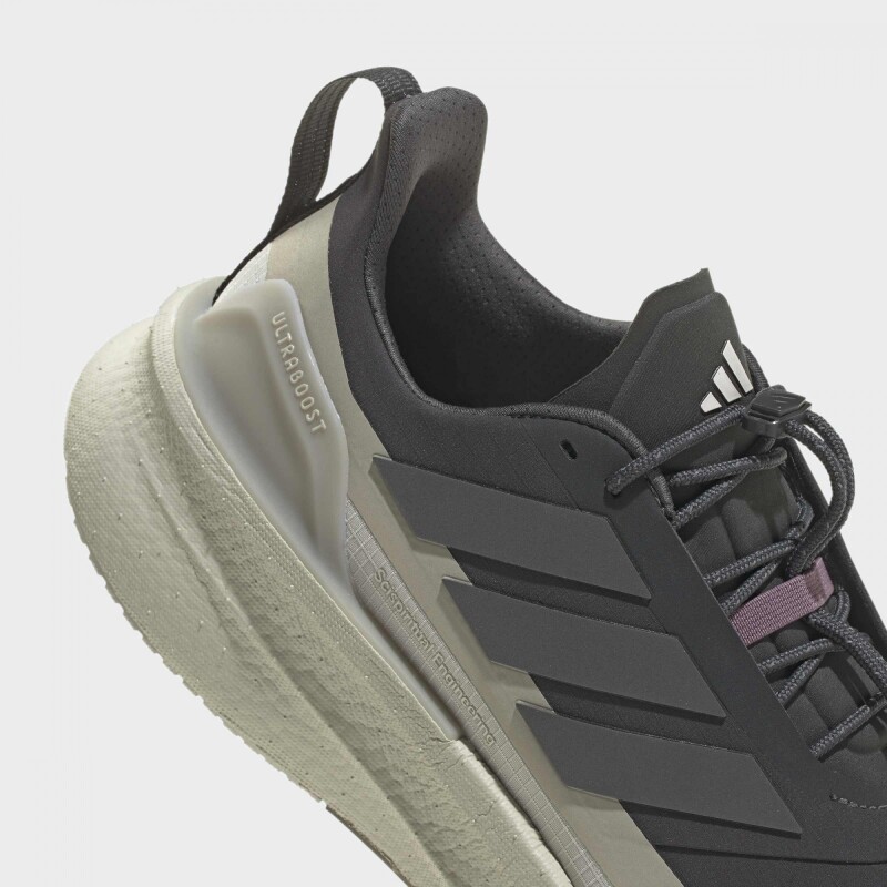 Championes Adidas Ultraboost 5 Gris