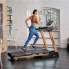 Caminador Plegable Reebok Jet 300+ Dorado Caminador Plegable Reebok Jet 300+ Dorado