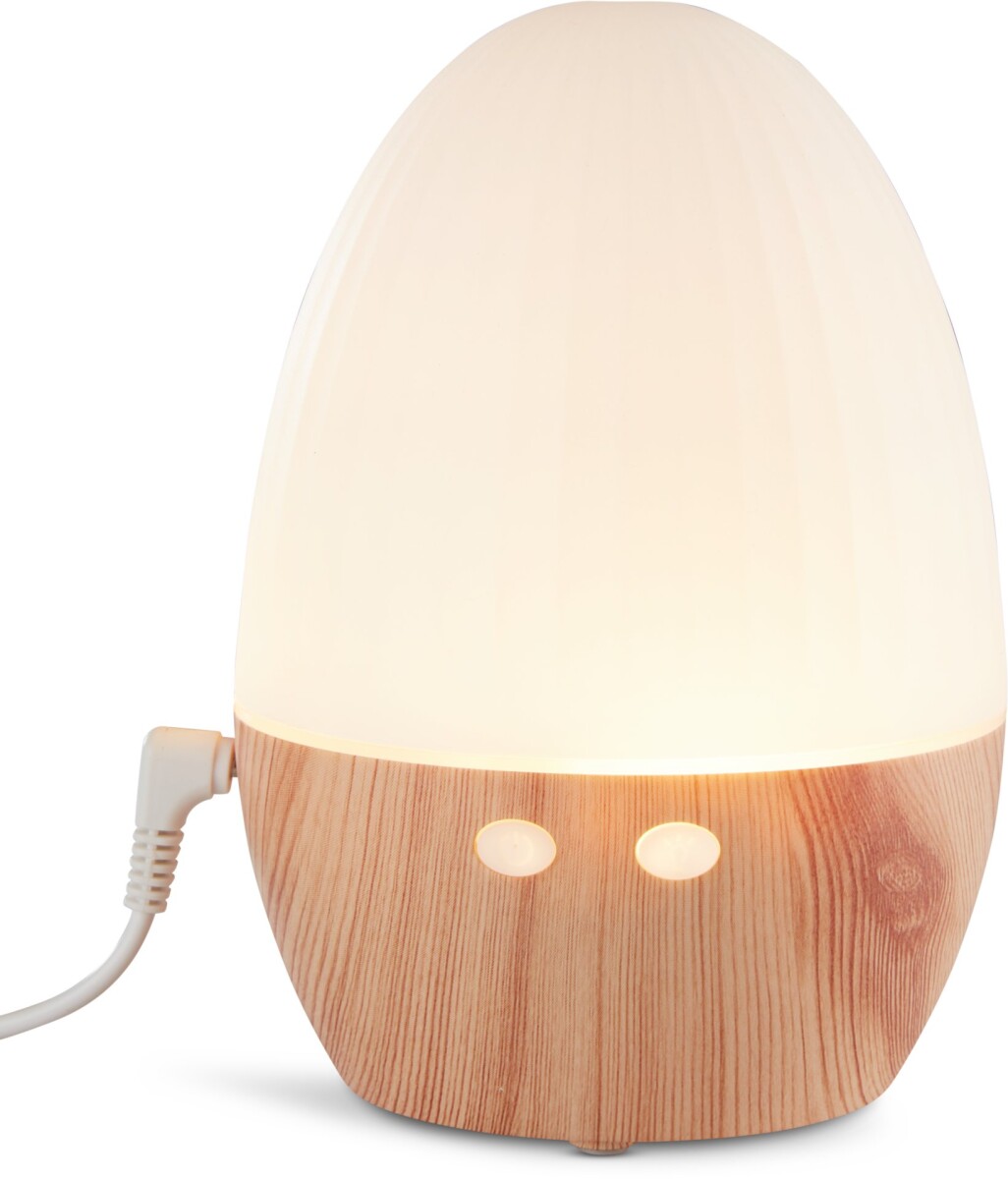 Difusor HANNES Ø11xA16cm con luz 