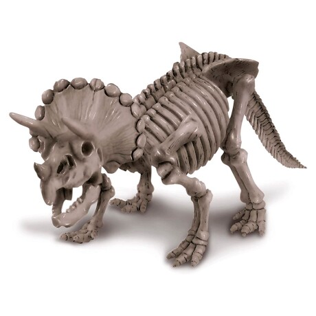 Juego Educativo 4M Excavación del Esqueleto Triceratops Beige