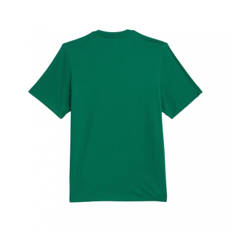 adidas SKATEBOARDING TREFOIL GREEN