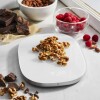 ZWILLING ENFINIGY BALANZA DIGITAL SILVER ZWILLING ENFINIGY BALANZA DIGITAL SILVER